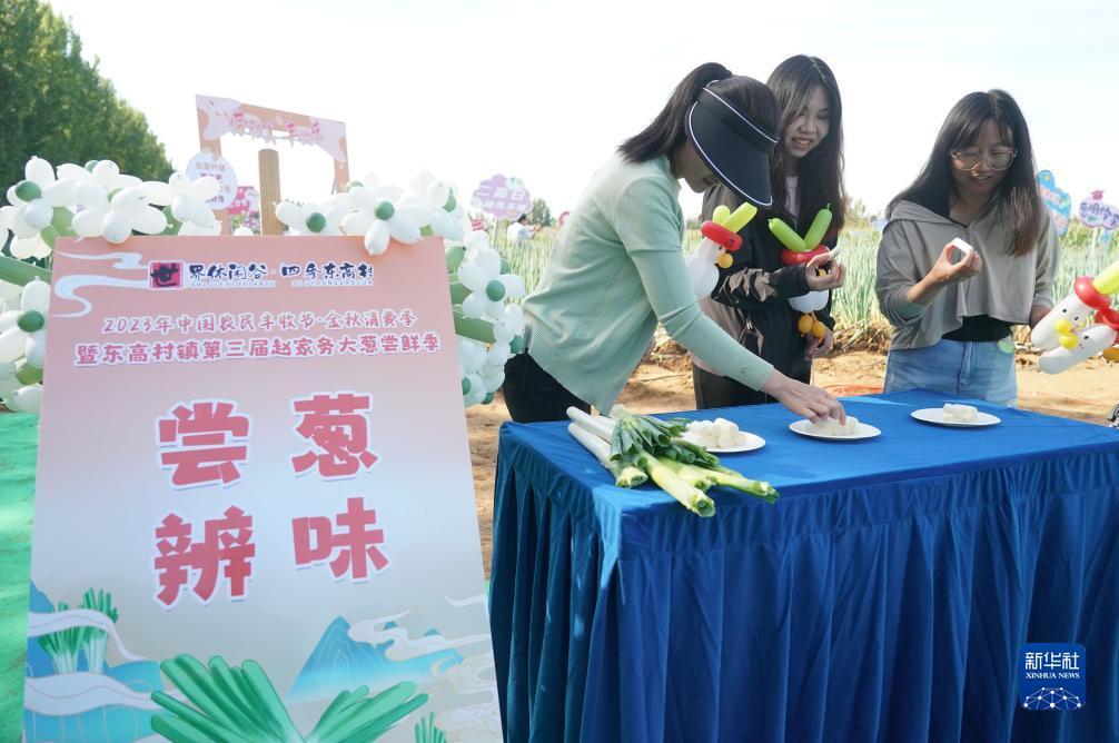 沙巴在线投注